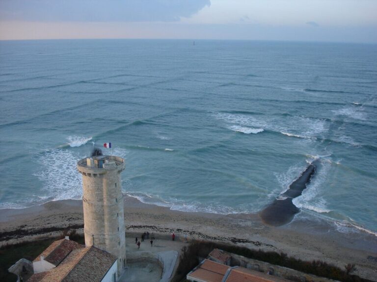 If you see square waves forming in the ocean, get out of the water immediately