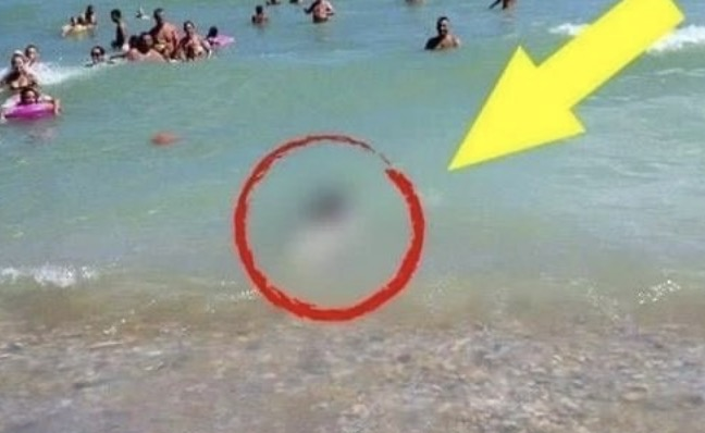 People were Speechless when they saw what emerged from the sea…