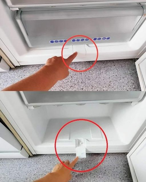 Almost all freezers have this “secret” element. That’s why it needs to be used once every 3 months