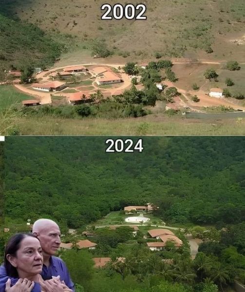 From Barren Wasteland to Thriving Ecosystem: The Incredible Story of a Brazilian Couple’s Reforestation Project