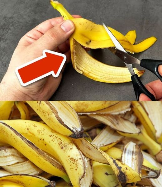 Four ways banana peels can help your plants