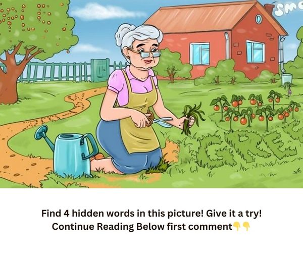 Find 4 hidden words in this picture! Give it a try!