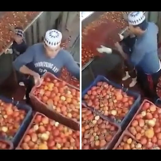 Video Goes Viral Of Egyptian Factory Making Ketchup, Heinz Does ‘Damage Control’