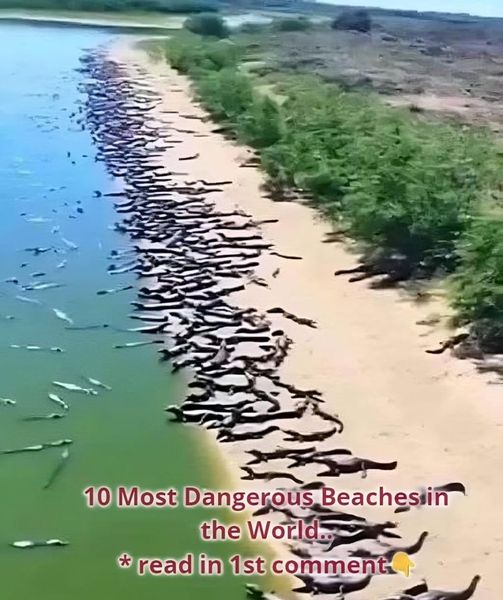 10 Most Dangerous Beaches in the World? Detail in the first comment