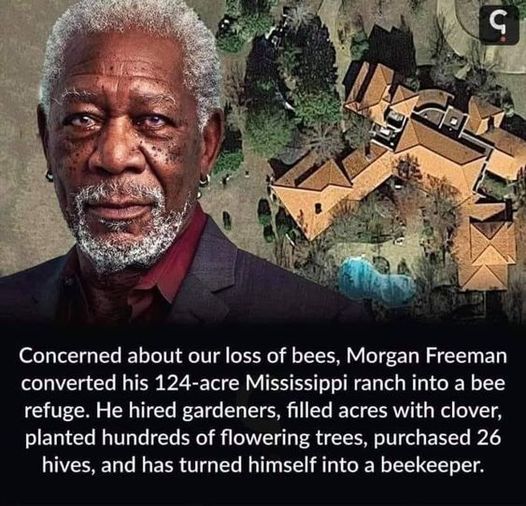 High fives to Morgan Freeman for transforming his ranch into a 124-acre honeybee sanctuary.