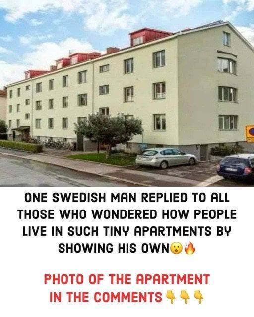 One Swedish man replied to all those who wondered