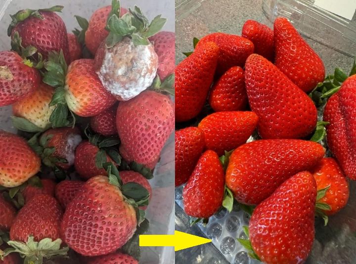 How to Preserve Fresh Strawberries for a Longer Time