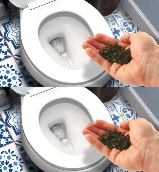 The cool trick to remove the smell of urine from the bathroom