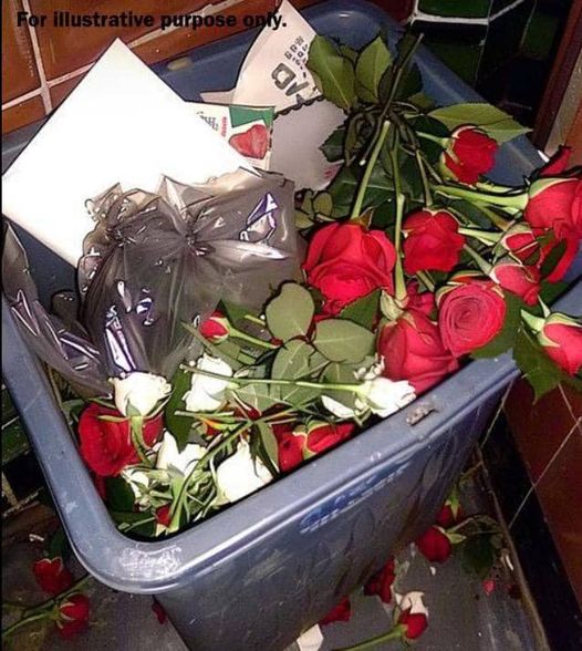 I Sent My Boyfriend Roses to His Workplace as a Sweet Surprise, but He Threw Them in My Face – I Taught Him a Good Lesson Later