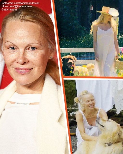 Pamela Anderson Sold Home for $11.8M to Live Alone with 5 Dogs in Grandparents Former Farm Home — A Look Inside