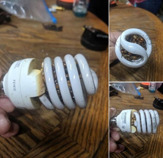 Man Issues Warning Following Startling Light Bulb Discovery