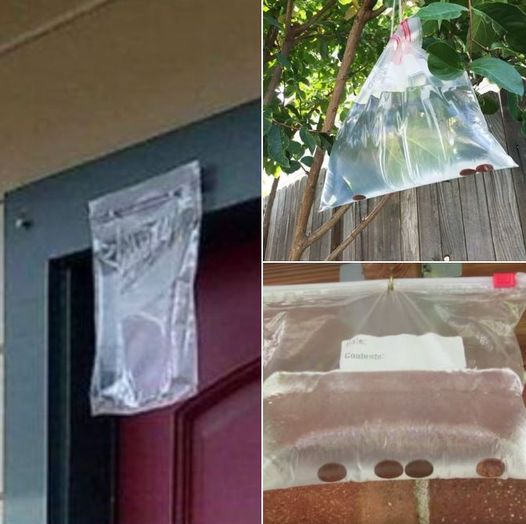 If you ever spot a bag of water hanging above your neighbor’s door, here’s what it means