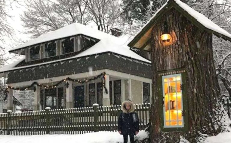 A Charming Trend: Free Libraries in the Neighborhood