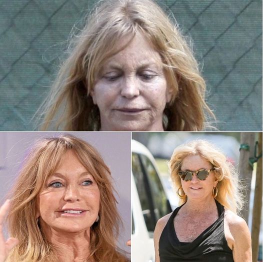 Goldie Hawn no makeup photo shows her natural look