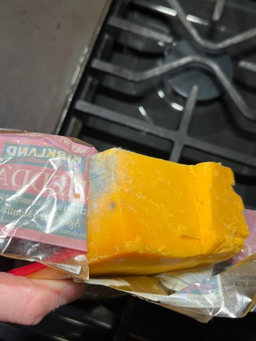 Is Moldy Cheese Safe to Eat?