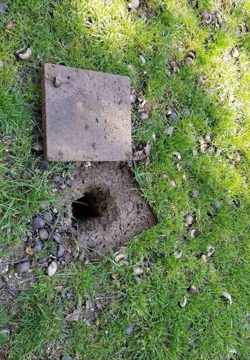 Uncovering History: Unexpected WWII Air Raid Shelter Found Beneath Man’s Driveway