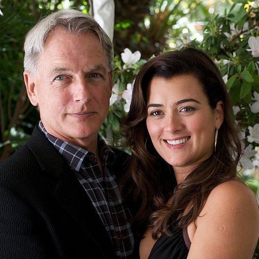 ‘NCIS’ star Cote de Pablo opens up about her relationship with Mark Harmon – this is why she left the iconic show