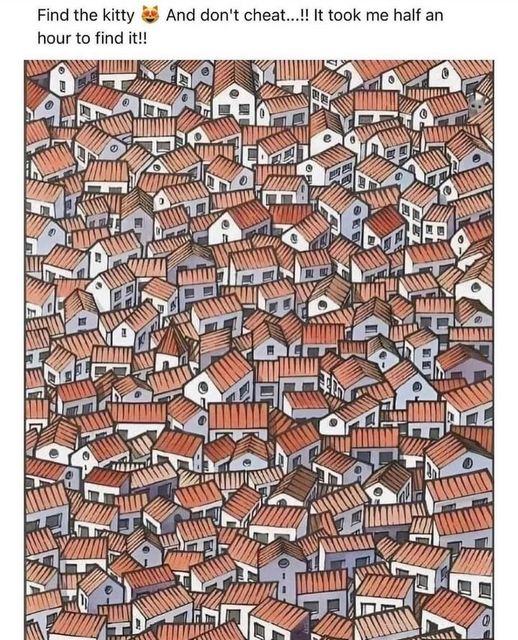 Optical Illusion Challenge: Can you find a cat among the houses in 5 seconds?