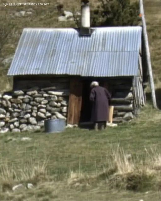 My Elderly Neighbor Visited an Old Shack Every Day at the Same Time – I Nearly Fainted When I Checked inside One Day