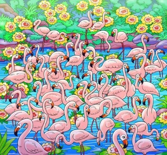 Find the girl hiding among those gorgeous flamingos!