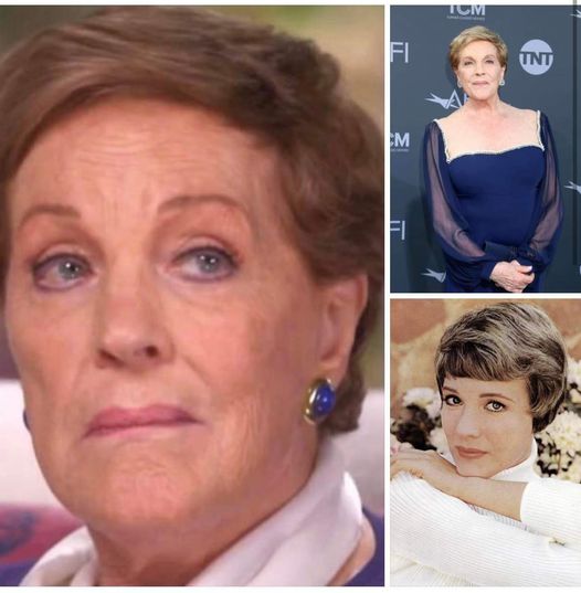 Julie Andrews makes rare public appearance at 87, and everyone’s saying the same thing