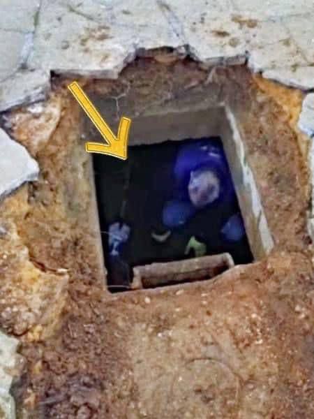 A man started hearing unusual noises beneath his driveway, and look what he found inside!