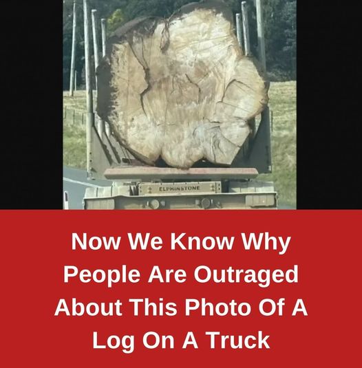 Here’s why people are so upset about the picture of a log on a truck.