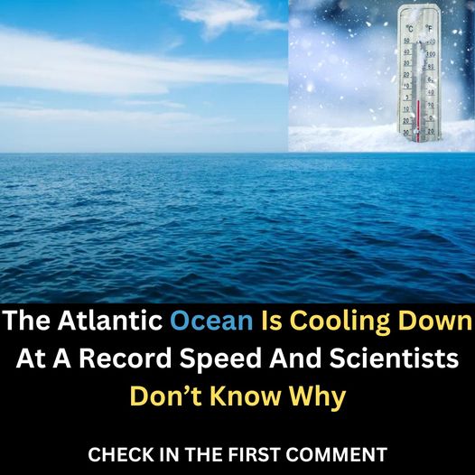 Scientists Are Puzzled By The Unprecedented Rate At Which The Atlantic Ocean Is Cooling – My Blog