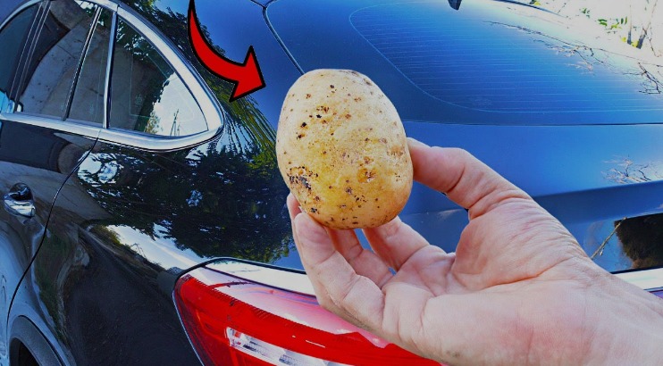 The Potato: Your Vehicle’s Unexpected Helper