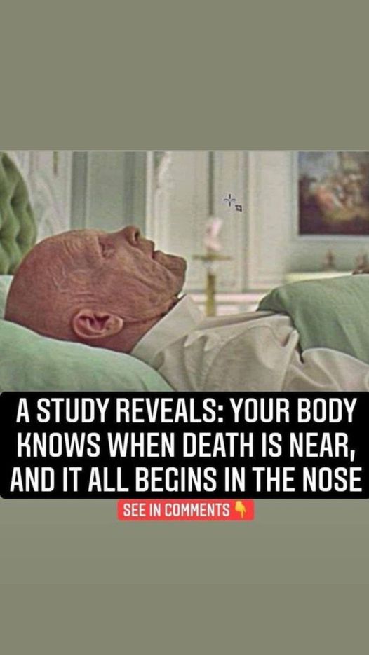 A Study Reveals Your Body Knows When Death Is Near, And It All Begins In The Nose