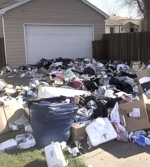 My Neighbor Trashed My Backyard for Revenge, but My Payback Was Even Harsher