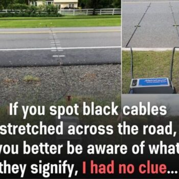 Here’s what those enigmatic black cables on the road signify.