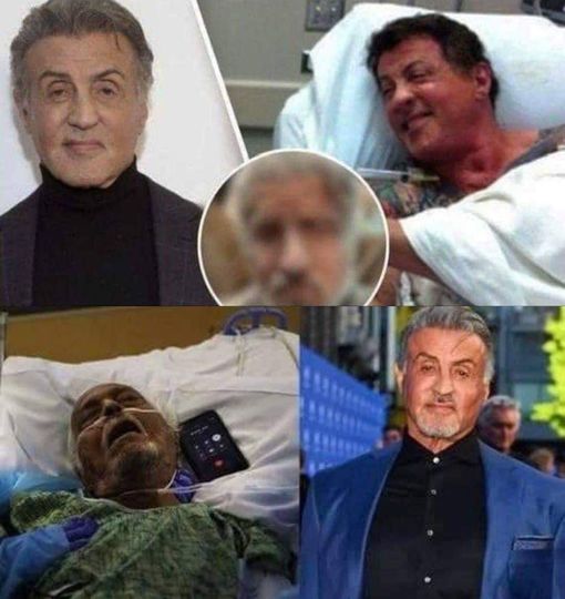 59 minutes ago / The family announced the sad news of Action movie legend Sylvester Stallone!.𝐖𝐚𝐭𝐜𝐡 𝐢𝐧 𝐜𝐨𝐦𝐦𝐞𝐧𝐭𝐬 𝐛𝐞𝐥𝐨𝐰👇👇